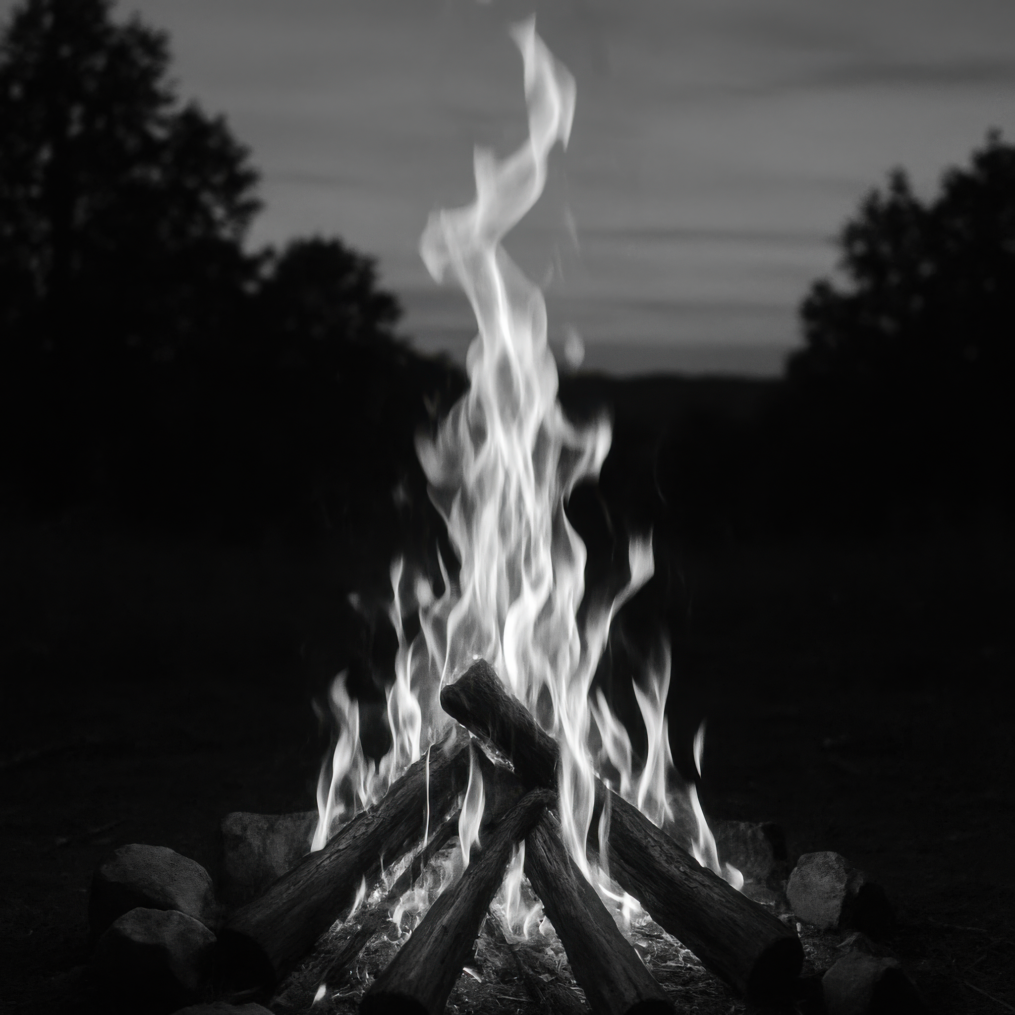 I Don’t Owe You My Fire